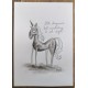 moja moja - original ilustracija